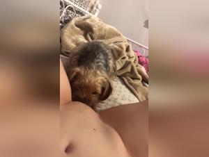 Trembling lips, bestial instinct: torrid licks and animal impulses