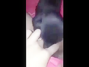 Bestial Sex Video: Discover the Extreme