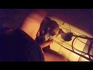 Caresses and Licks - Extreme Video