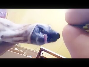 Experience the ultimate excitement of bestiality