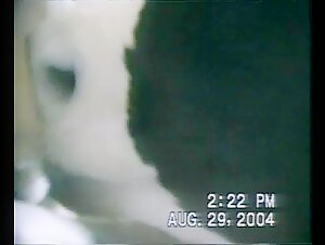 Zoophilia video: an extreme experience