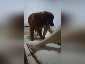 Dirty Whore and Her Dog: Pure Wild Pleasure