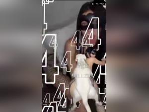 Sensory Immersion: Women, Dogs and Forbidden Delights