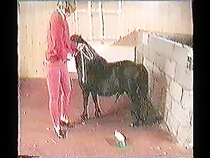 Bestialidad y placer extremo con un caballo