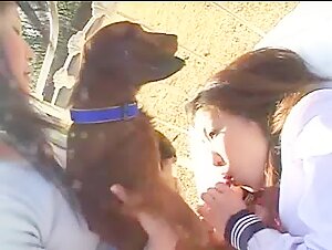 Extreme Moments between Japanese Girls and their Little Dogs