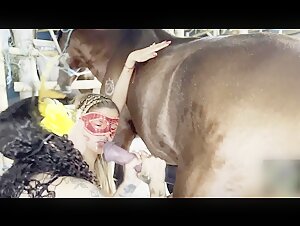 Zoophilia video with a horse