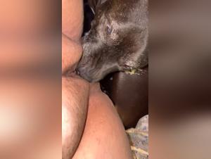 Explore Zoophile Fantasies: Intense and Intimate Pleasure