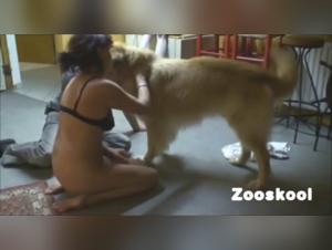 Live Forbidden Acts: Watch Milly Indulge in Canine Passion