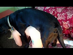 a blonde slut with two lovers at her place for an evening of fucking and animal pleasure.