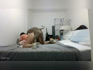 When Bestiality Crosses the Boundaries: A Journey into Dark Desire