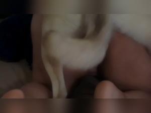Slutty whore woman sucks her dog