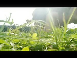 Intense and Extreme Moments Outdoors