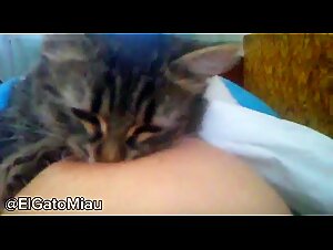 Feline Passion: A Sensual Exploration