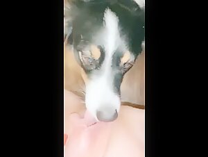 Video of Extreme Zoophilia