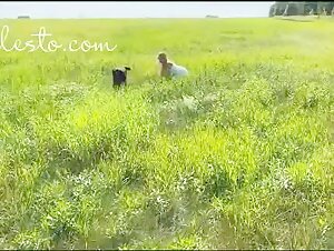 Video de sexo bestial: una experiencia excitante y prohibida