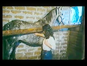 Bestiality Sex Videos with Horses