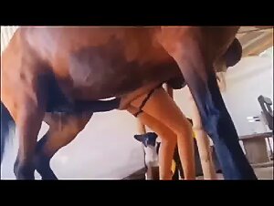 satisfy animals, desires exacerbated