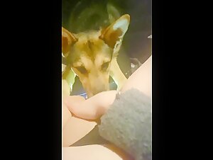 Exciting bestiality scene with Irish girl and dog