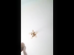 Watch part 4 of this dog sex series