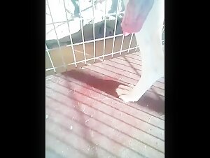 Bestiality Sex Video: A Man and His Dog