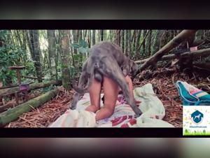 Canine Passion: Wilder und erbarmungsloser Fick