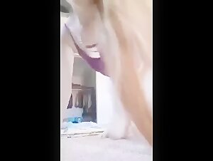 Zoophilia Video: An Exciting Experience