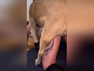 Canine domination: A woman at the mercy of her animal impulses