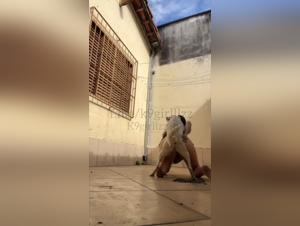 Bestiality meaning: prohibited dreams, pleasures revealed