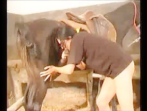 Extreme Horse Sex Scene: Don't Miss It