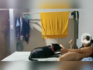 Canine Passion: The Slut Lets Herself Be Fucked Without Remorse