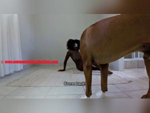 Intense Beastiality: Animal and human enjoyment