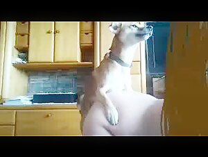 Extreme dog sex video