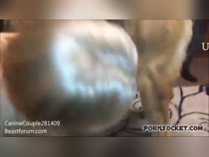 Animal Desire: A Mature Woman Explores the Limits of Pleasure with a Dog