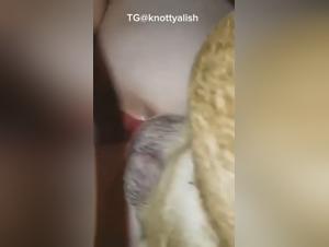 reveal the raw enjoyment of an animal trio