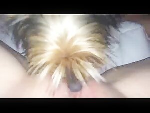 Amateur dog sex video