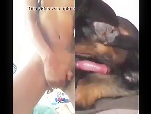 Woman with swollen pussy fucked by dog   and horse