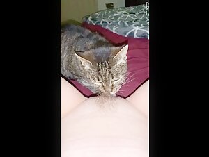 A Wild Encounter: Kitty and Her Canine Lover
