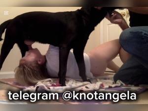 CANIN BLOWJOB, a dive into the wild kink