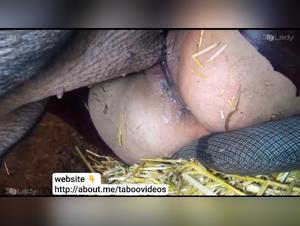 Libertinaje marino: El barco lo devora en mar abierto