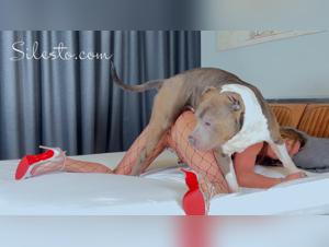 Dekadente Party, bei der Hundegewalt herrscht: Veronica Silesto wird brutal penetriert