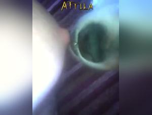 Animal delight: biting kisses and raw enjoyment