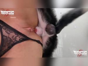 Mujeres destrozadas por la penetracion de un perro devastador