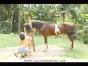 Hard sex videos with horses