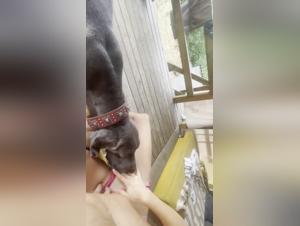 Dog devours woman in a wild and repulsive fuck
