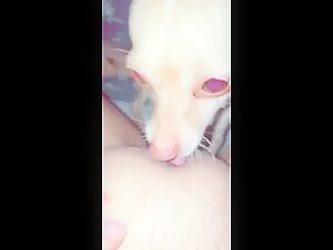 Extreme Sex Scene with a Dog