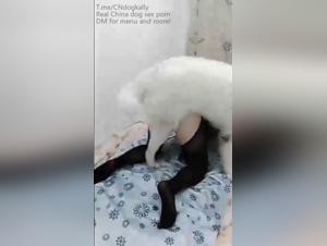 Jouissance Féminine sous la Pénètre du Chien
