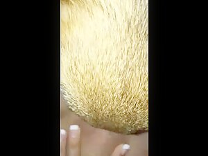 Bestiality Video: Human and Dog