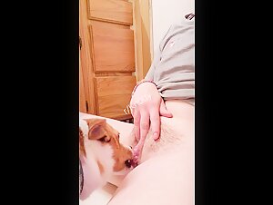 Amateur Bestiality Scene - Hardcore Sex with a Dog