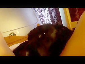 Intense licking between a female dog and a dog