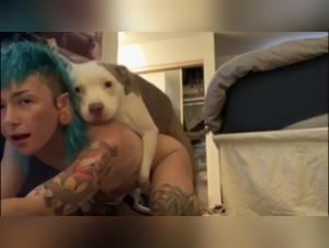 Brutal Fuck: When Instinct Reigns Supreme